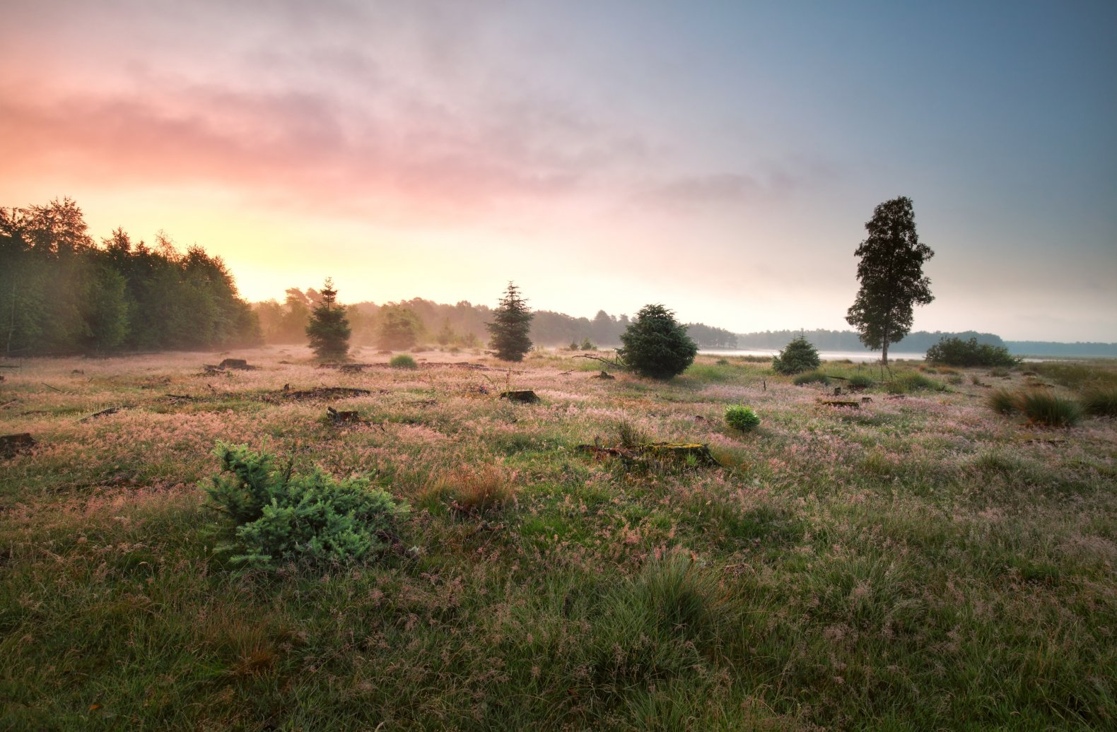 Drie Nationale Parken in Drenthe - B&B de EekhoornB&B de Eekhoorn